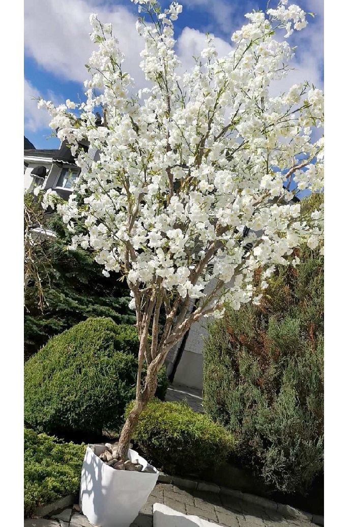 Cherry Blossom Tree & Arch